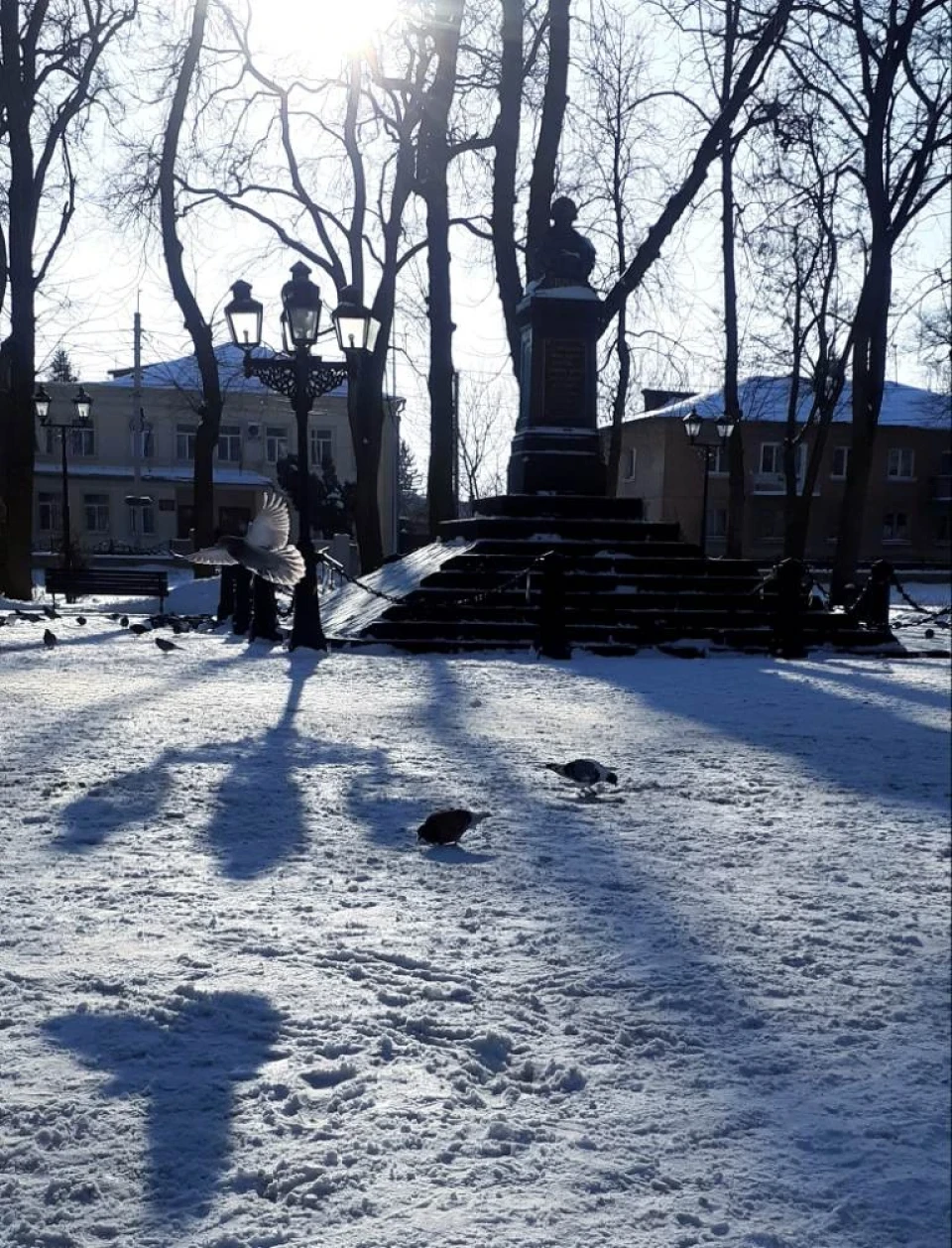 День музейного селфі, світло і тіні зимового Ніжина, смаколики у парку: зимові фото Леоніда Руденка фото №8