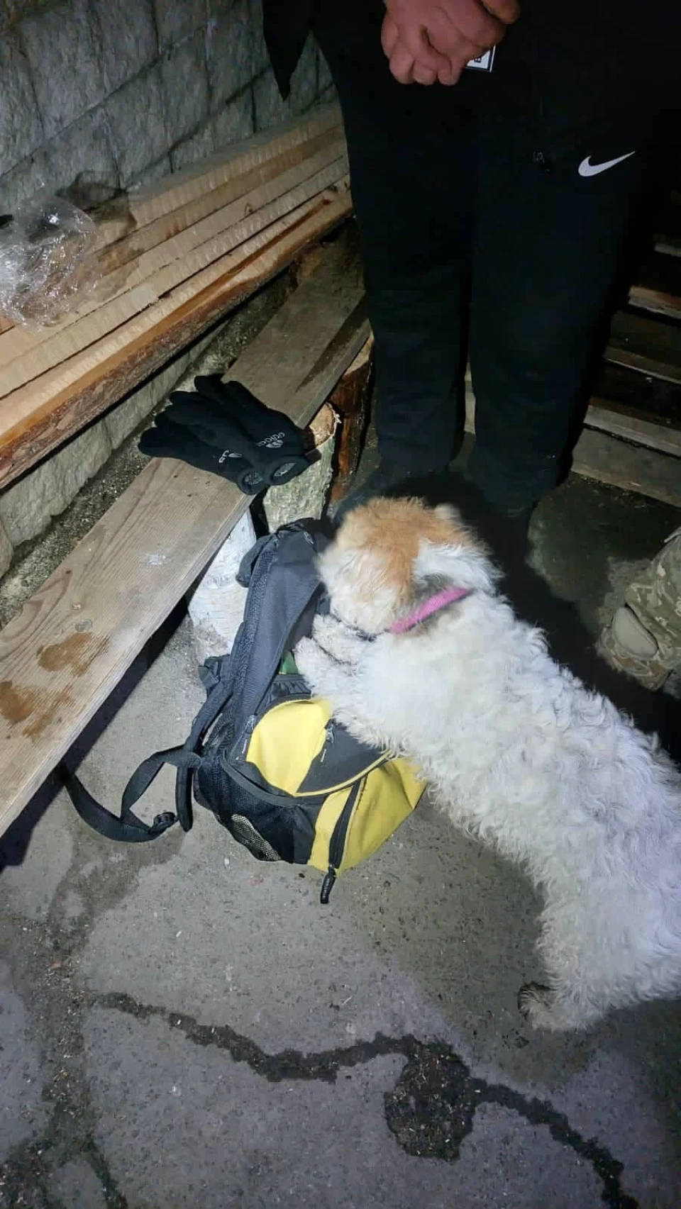 Службова собака на в'їзді до Чернігова виявила у чоловіків наркотики фото №5