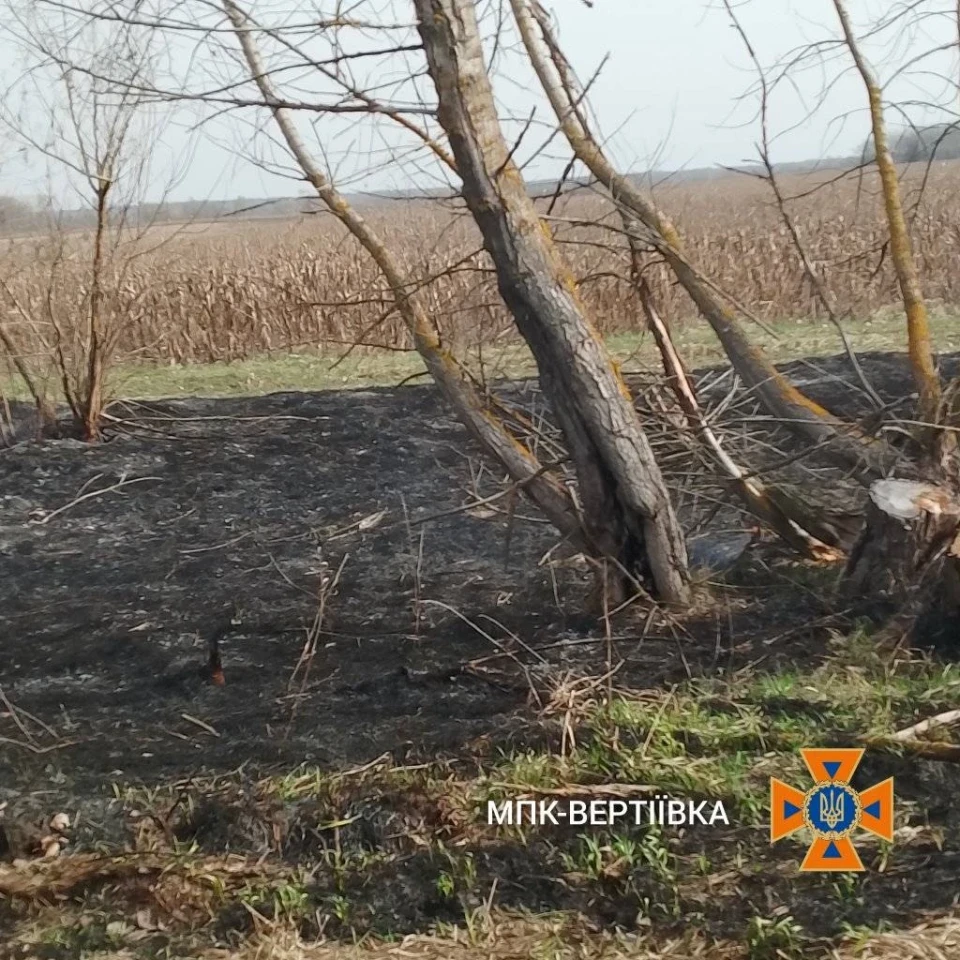 На Ніжинщині протягом вихідних зафіксували два загоряння сухої трави: подробиці фото №1