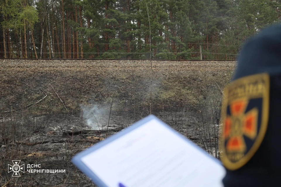 На Чернігівщині жінка отримала штраф — 15 тисяч гривень за спалювання трави: подробиці фото №6
