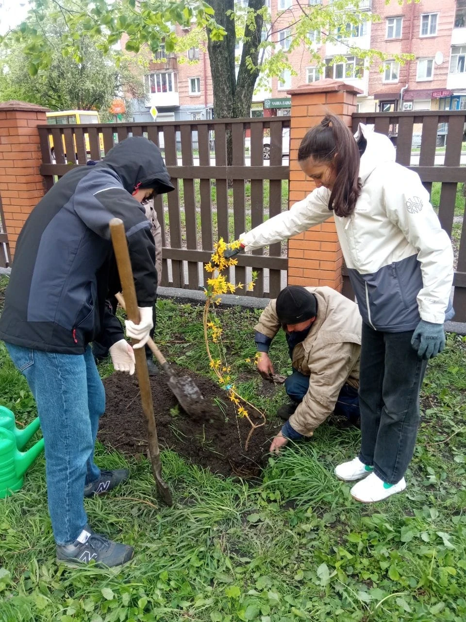 Озеленення Ніжина: учні Ніжинської гімназії №10 висадили дерева фото №3