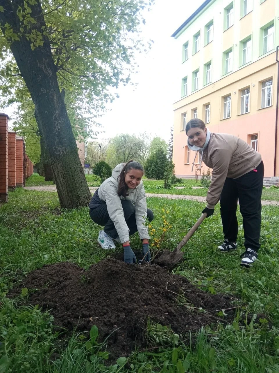 Озеленення Ніжина: учні Ніжинської гімназії №10 висадили дерева фото №5