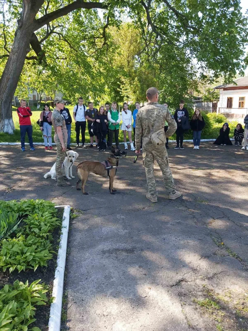 Учні Ніжинської гімназії №3 зустрілися із саперами та кінологами: як це відбувалося фото №2