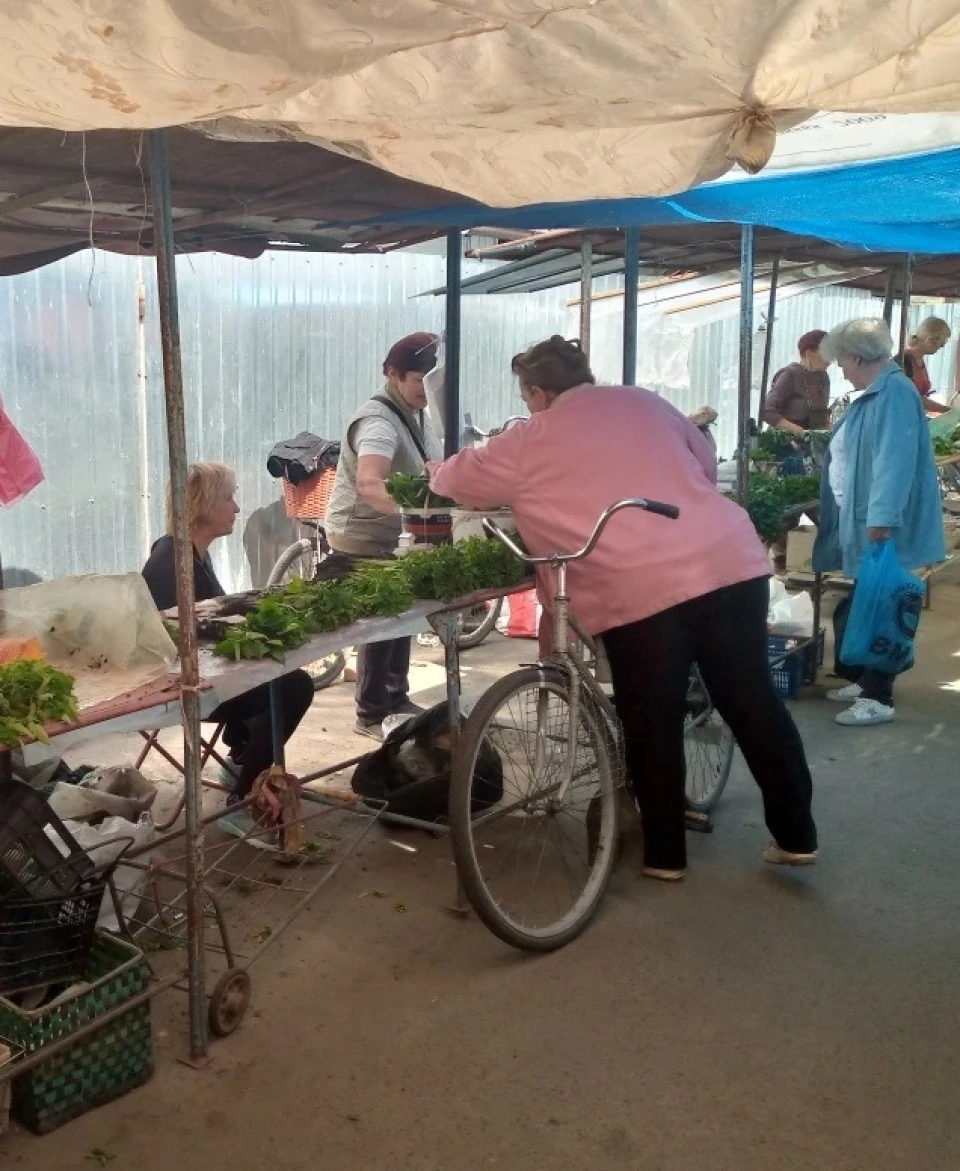 Томати, капуста, перець та інше: ціни на розсаду на ринку в Ніжині фото №2