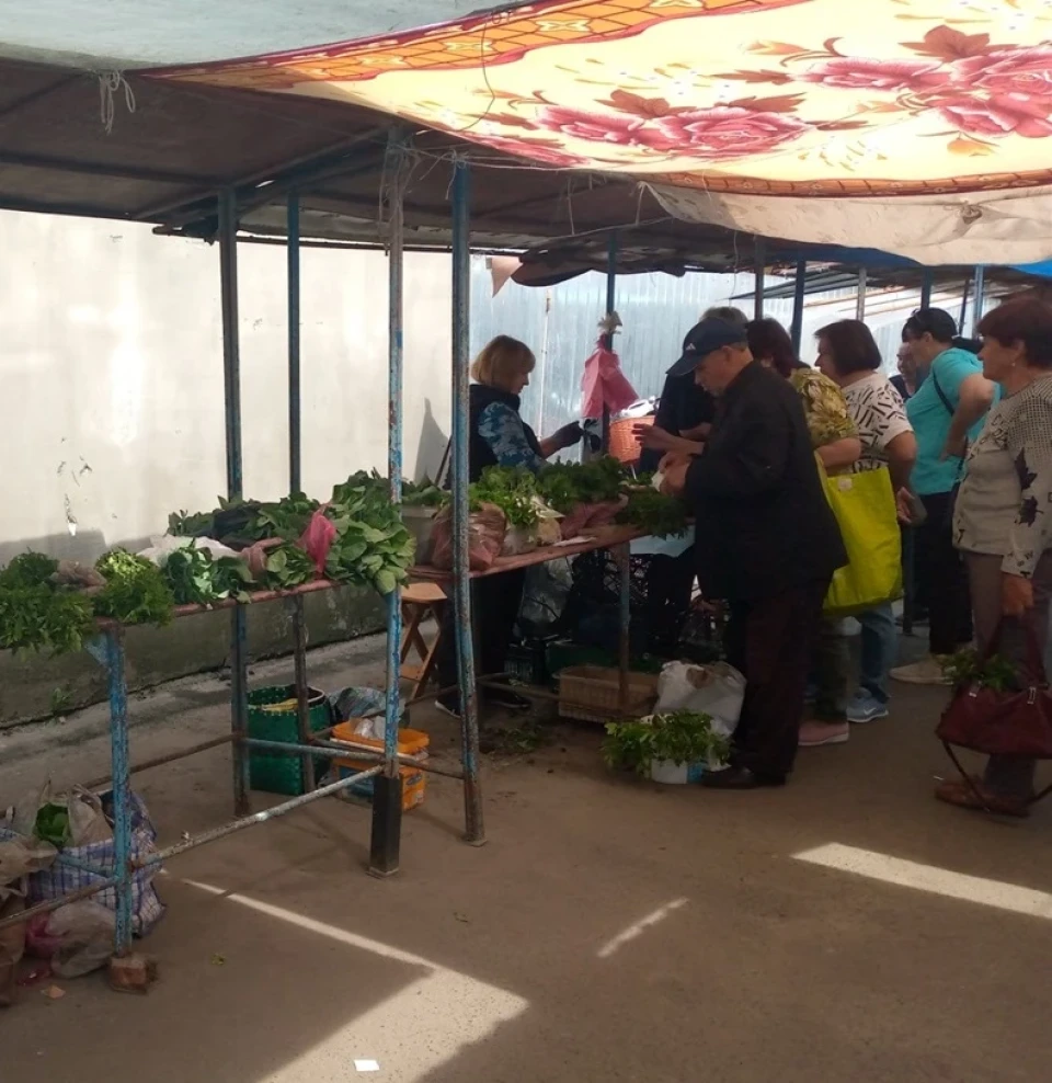 Томати, капуста, перець та інше: ціни на розсаду на ринку в Ніжині фото №3