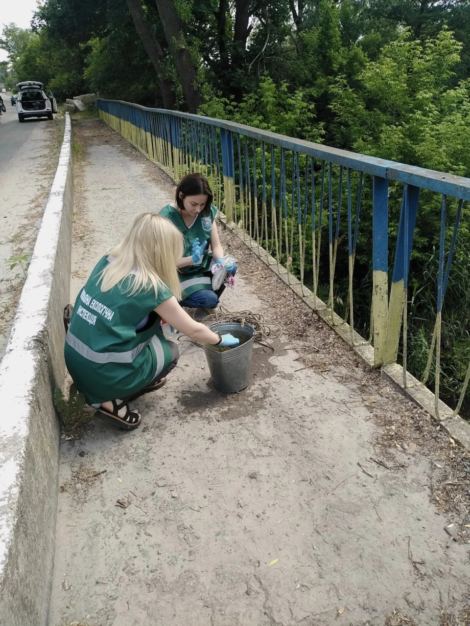 Вміст розчиненого кисню знизився до критичних показників: на Чернігівщині через замор риби перевірили річку Остер фото №2