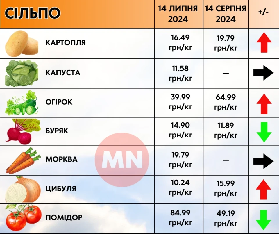 Огірки та капуста — ціною в золото: як змінилися ціни в супермаркетах Ніжина протягом місяця фото №8