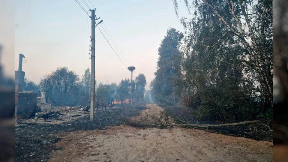 У прикордонних селах Чернігівщини згоріли понад 30 будинків через обстріли: подробиці фото №2