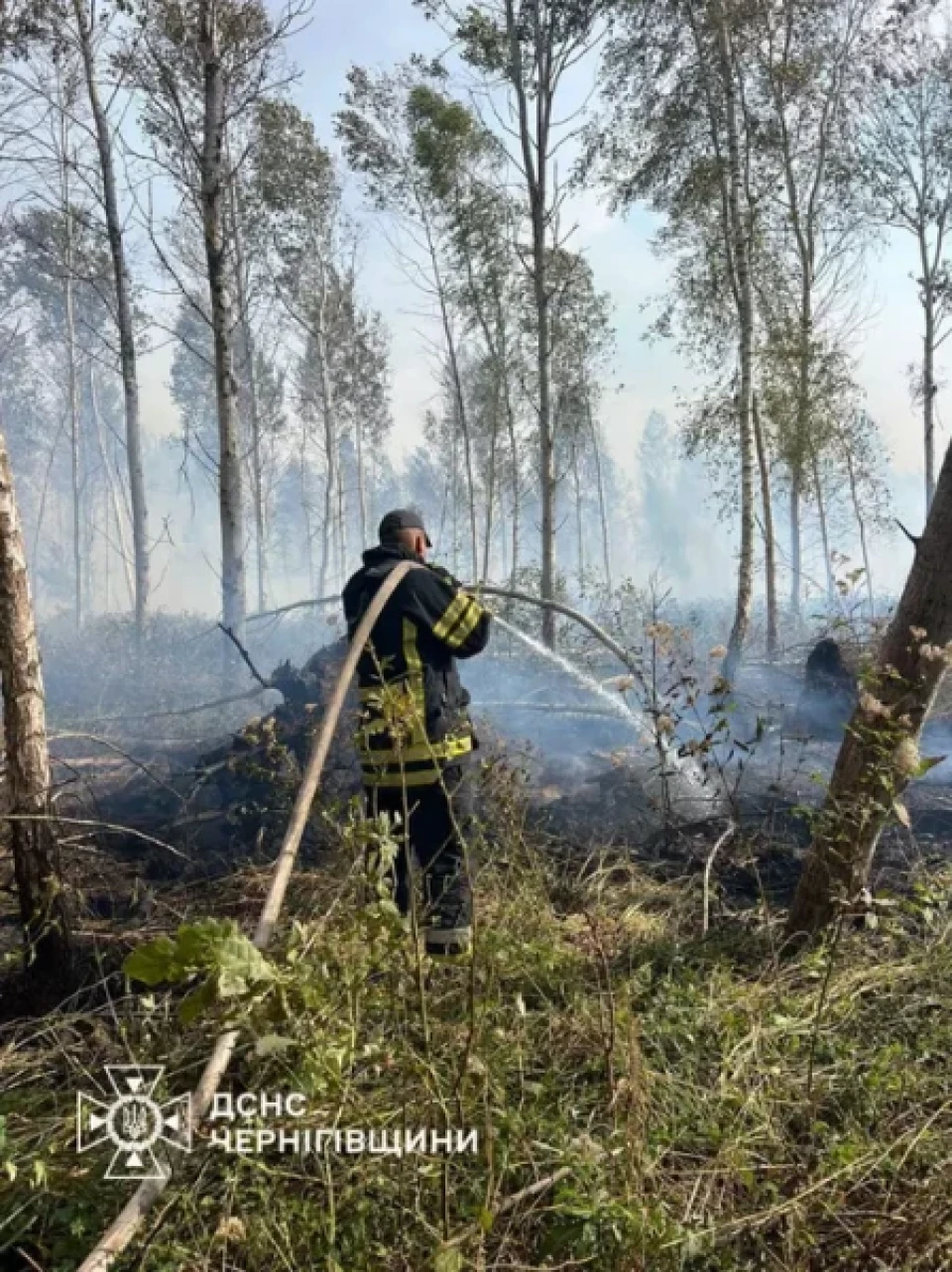 За добу вигоріло 24 гектари: рятувальники продовжують боротися з торф'яними пожежами на Чернігівщині фото №2