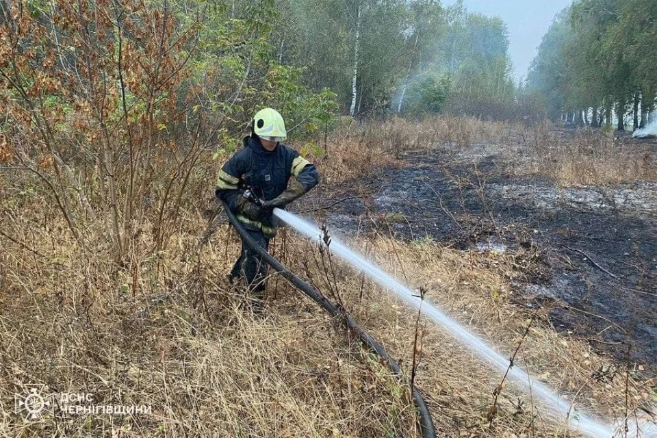 Вогнеборці Чернігівщини ліквідували 99 пожеж за тиждень фото №4