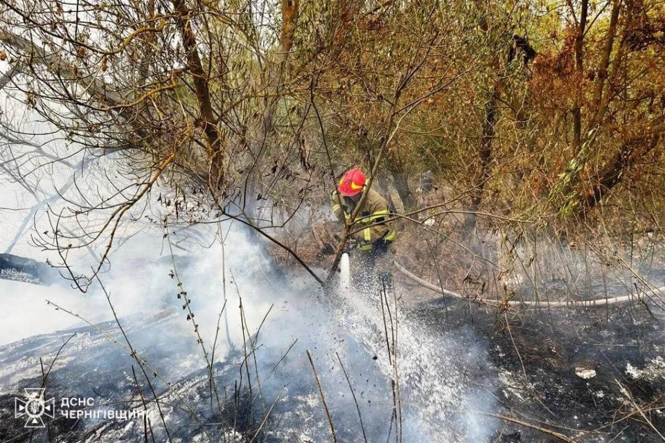 Вогнеборці Чернігівщини ліквідували 99 пожеж за тиждень фото №6