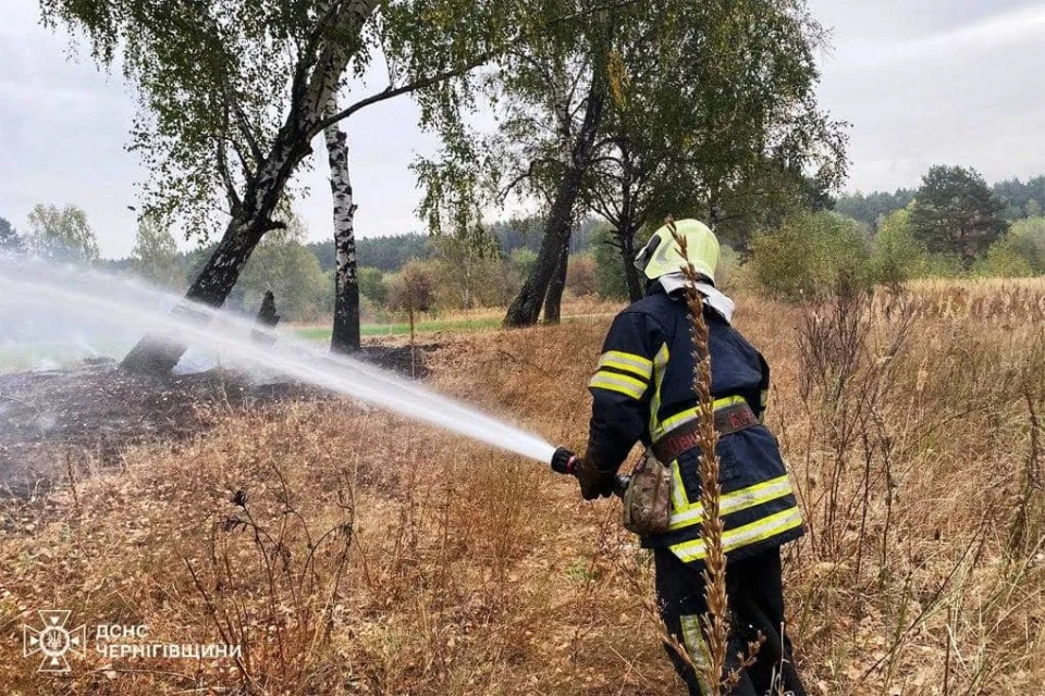 Вогнеборці Чернігівщини ліквідували 99 пожеж за тиждень фото №8