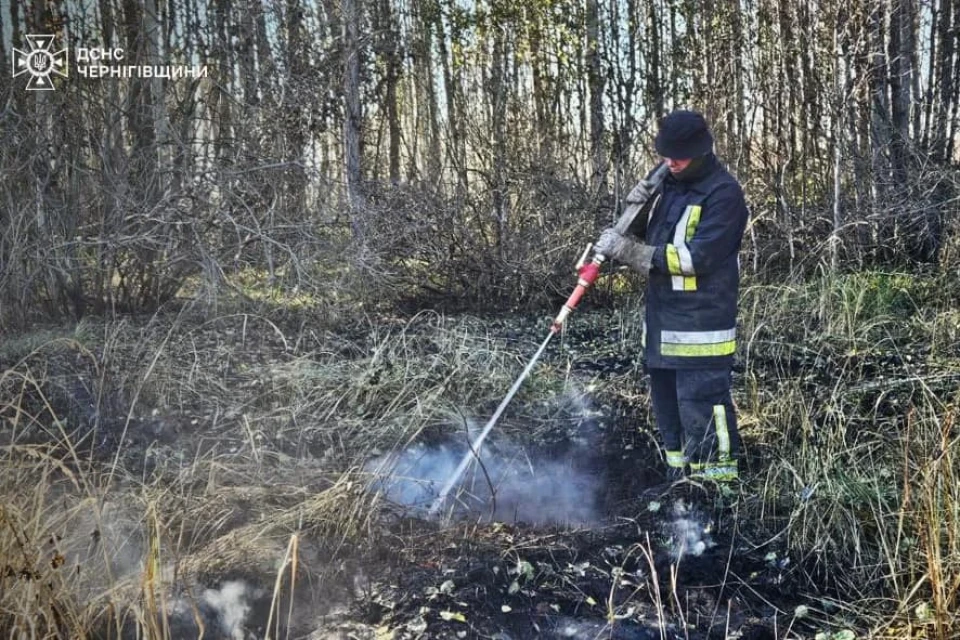 Залишилося 20 гектарів: на Чернігівщині досі триває боротьба із займання торфовищ фото №1