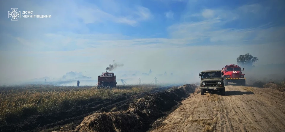 На Чернігівщині ліквідували масштабну пожежу торф'яників фото №3