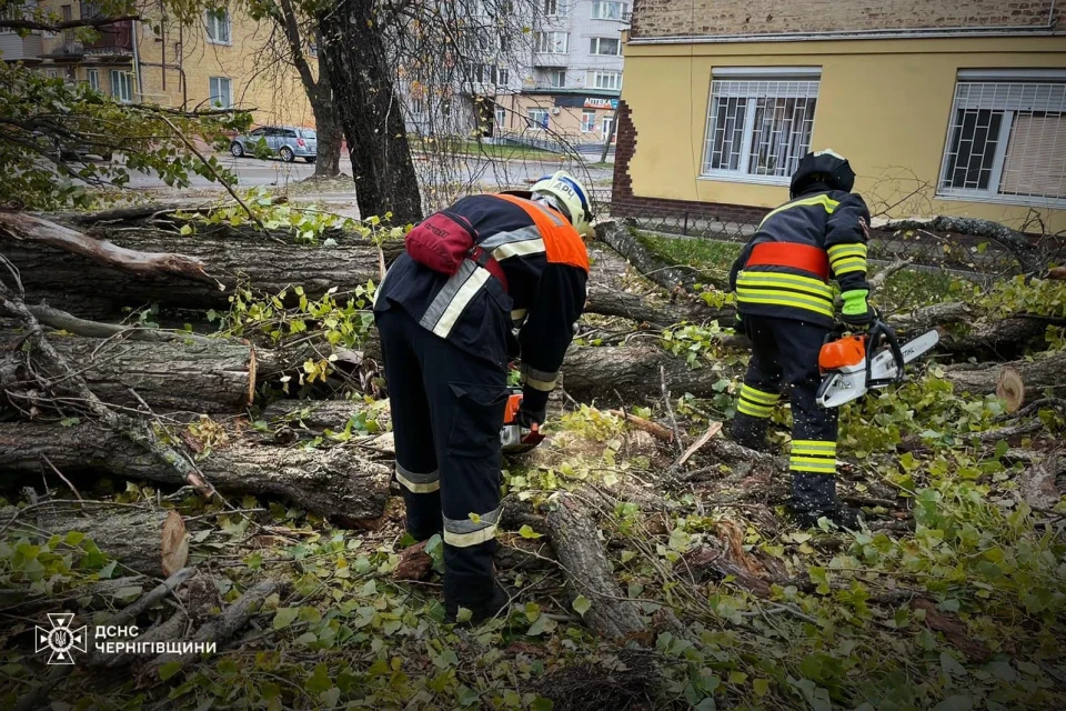 У Ніжині вирує негода: вітер повалив декілька дерев фото №2