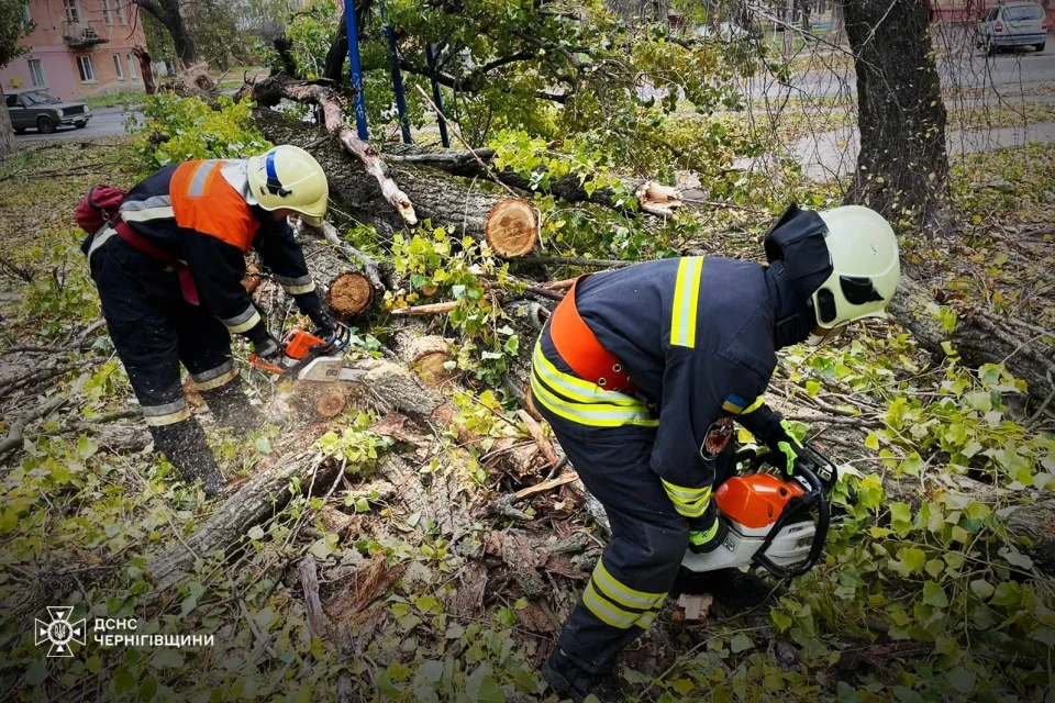 У Ніжині вирує негода: вітер повалив декілька дерев фото №4