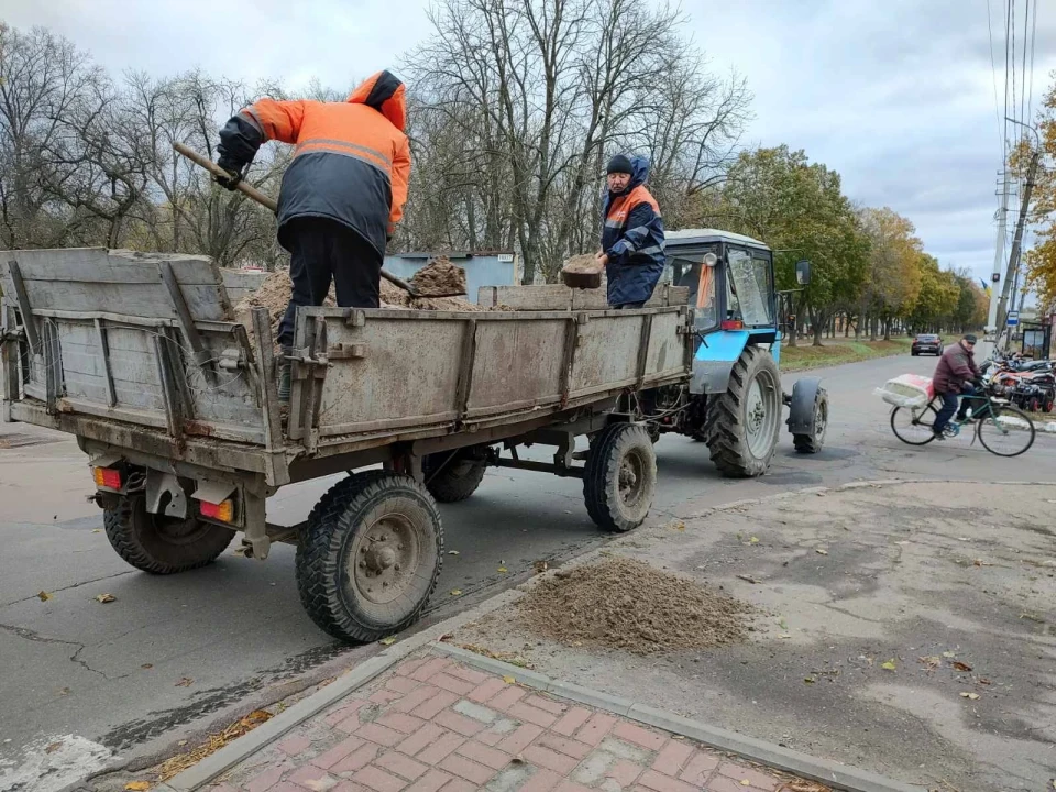 У Ніжині вирує негода: вітер повалив декілька дерев фото №7