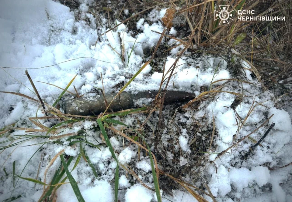 Вогнеборці ДСНС ліквідували на Чернігівщині три пожежі за добу: боротьба з наслідками від негоди фото №2