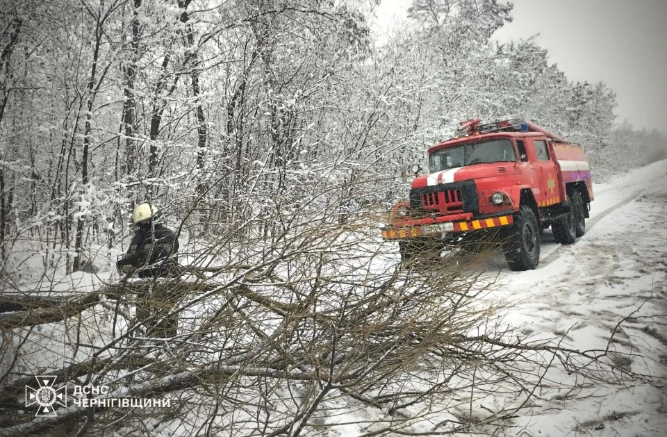 Вогнеборці ДСНС ліквідували на Чернігівщині три пожежі за добу: боротьба з наслідками від негоди фото №5