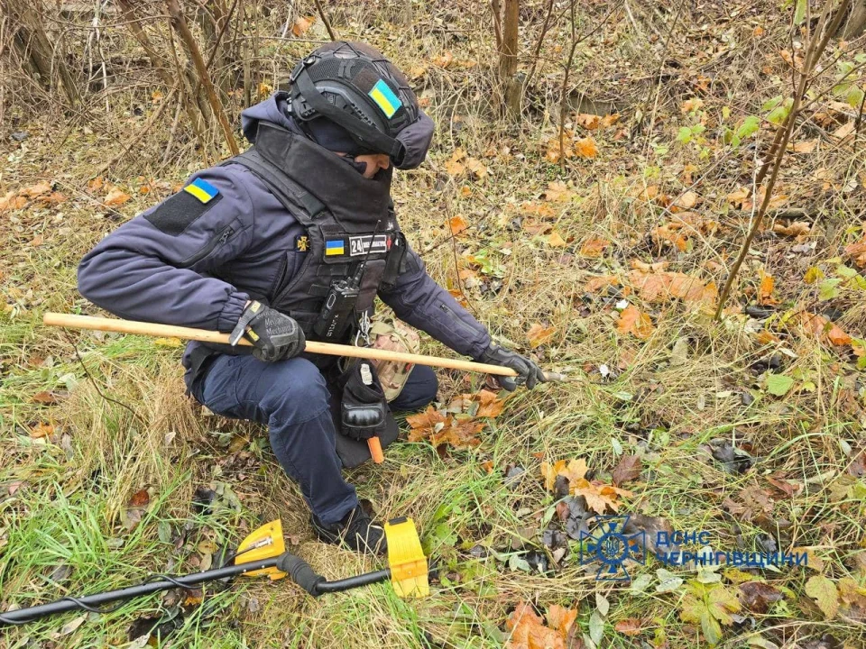 На Чернігівщини рятувальники ліквідували п’ять пожеж: подробиці фото №6