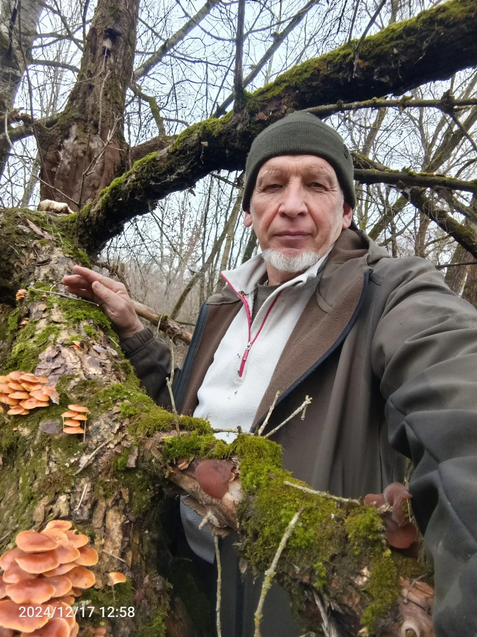 Гриби зі смаком зими: грибники Чернігівщини полюють і взимку фото №1