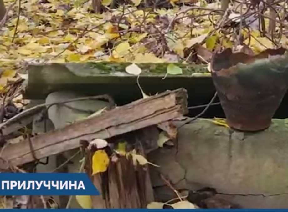 Непролазні джунглі без садка і хати: зникаючі села на Чернігівщині - Відео 