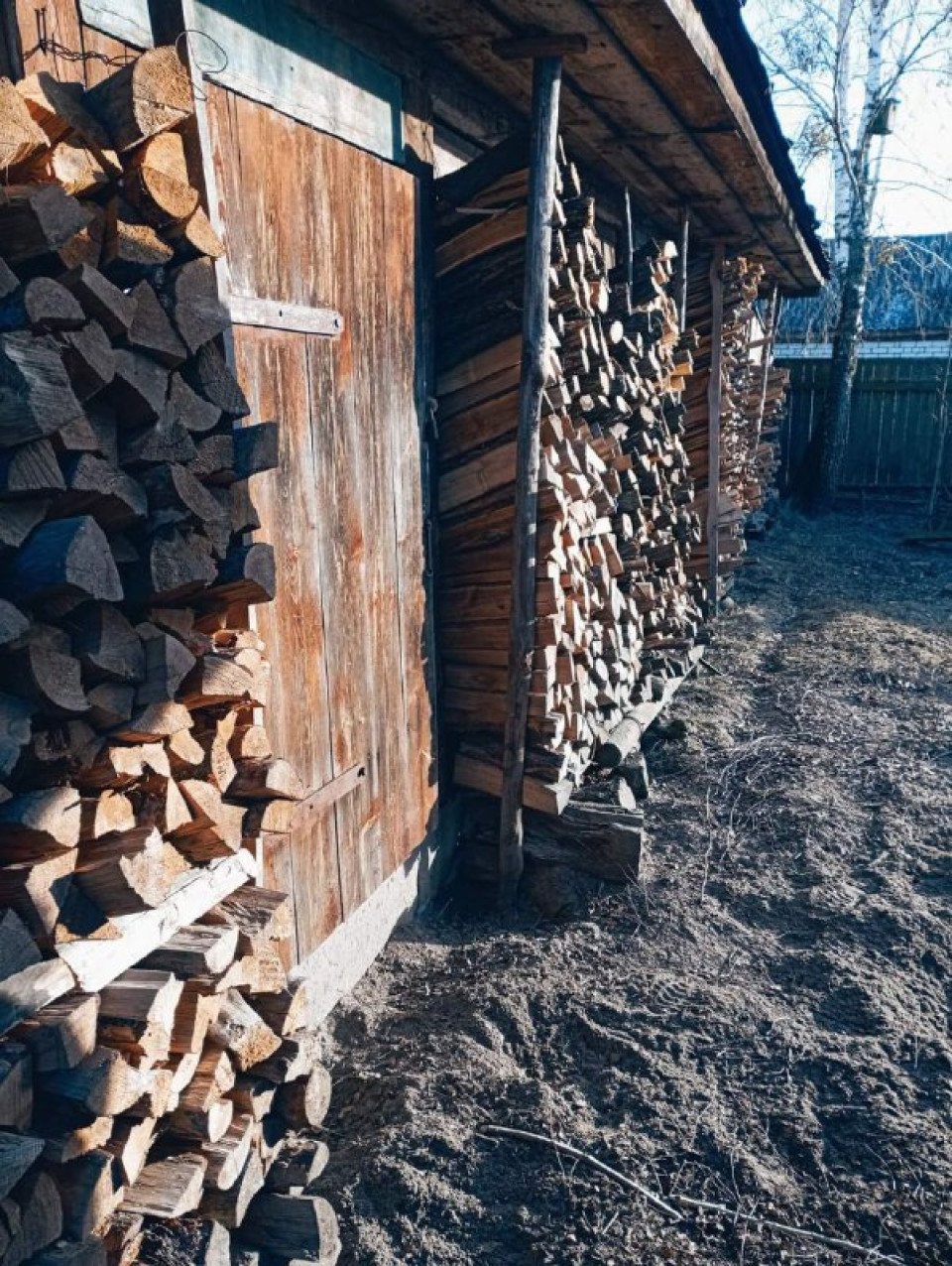 Секрети і тонкощі опалення дровами: інтерв’ю з досвідченим лісівником – Андрієм Сагайдаком фото №4
