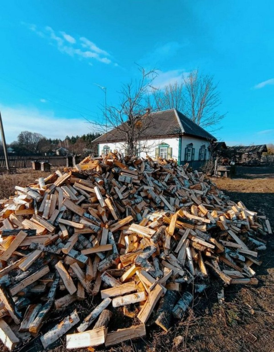 Секрети і тонкощі опалення дровами: інтерв’ю з досвідченим лісівником – Андрієм Сагайдаком фото №6