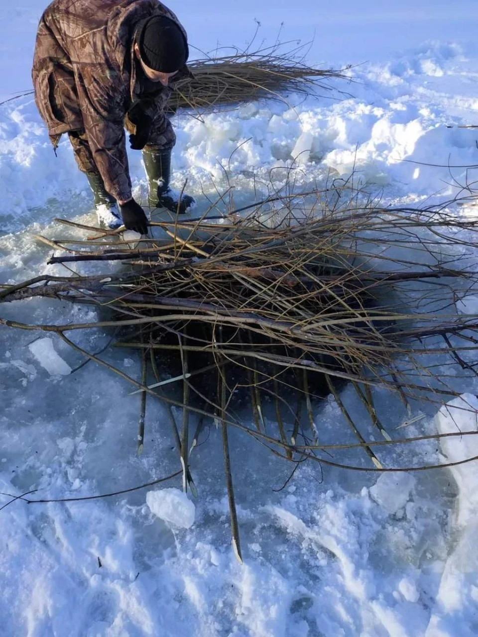 Рибу на Ніжинщині рятують від зимової задухи: які заходи провели фото №6