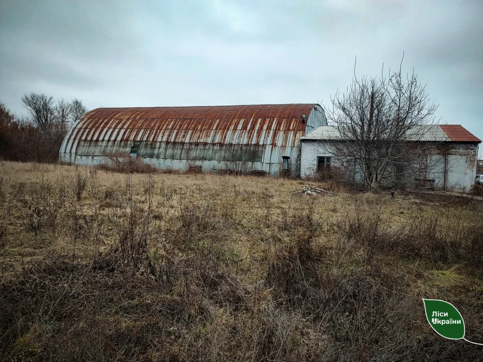 На Чернігівщині реалізували закинутий цех з обробки деревини за понад два млн гривень: подробиці фото №6