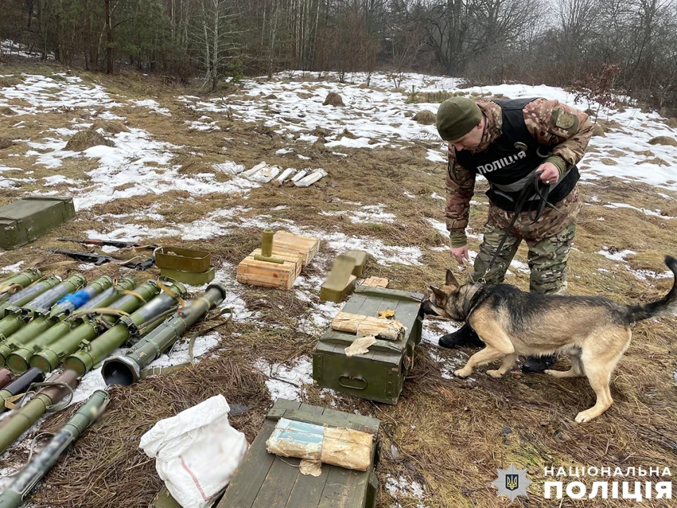 На Чернігівщині виявили масштабні схрони зброї: гранатомети, автомати, боєприпаси фото №3