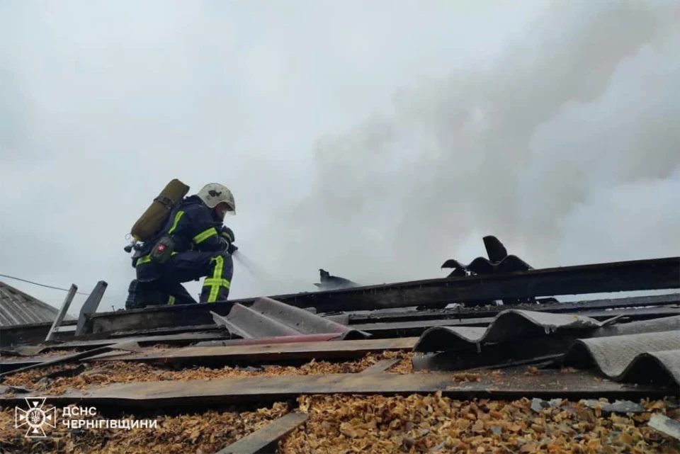 На Чернігівщині за добу сталося дві пожежі: загинули дві людини фото №1