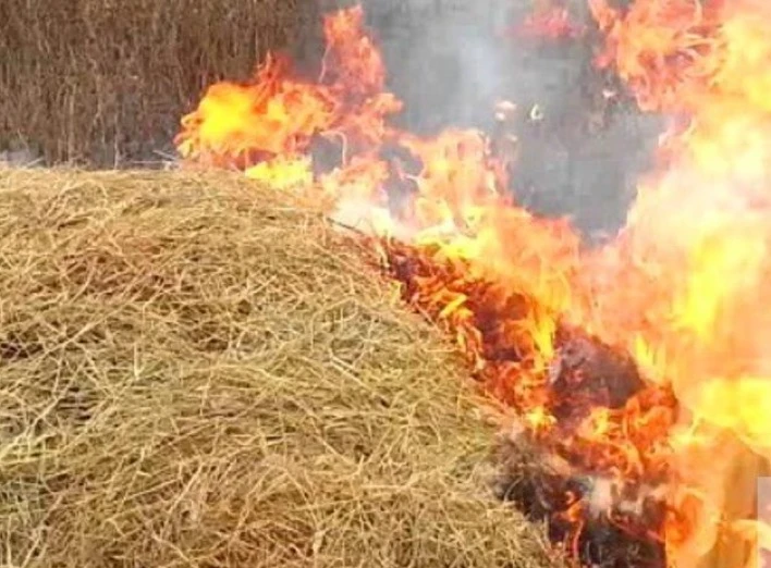 У селі на Ніжинщині згоріла тонна кормів