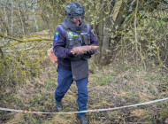 В селі на Чернігівщині знайшли артилерійський снаряд часів Другої світової