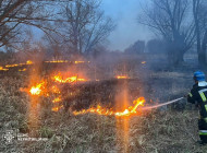 На Чернігівщині за добу вигоріло понад 19 гектарів: рятувальники ліквідували 17 пожеж