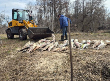 На Чернігівщині зафіксували масову загибель риби: фахівці відбирають проби води