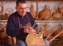 На Прилуччині зникає червона лоза а майстрів з лозоплетіння можна на пальцях перерахувати