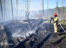На Чернігівщині виявили тіло жінки під час гасіння пожежі сухої трави