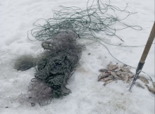 На Чернігівщині жінка спіймала 37 карасів і завдала збитків на понад 58 тисяч гривень