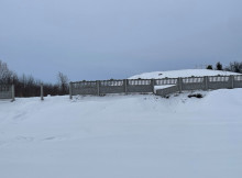 У Лосинівці вдруге зафіксували акт вандалізму на центральному кладовищі