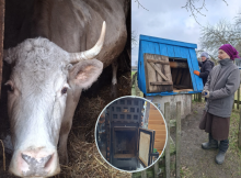 Як зараз живе прикордонне село Жадове, яке прийняло 300 переселенців