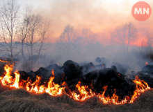 На Ніжинщині за добу сталося дві пожежі: горіла будівля та суха трава