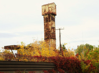 Ніжин тоне у "золоті" — Фото