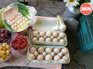 Які ціни на яйця на ринку і в супермаркетах Ніжина літом 2025