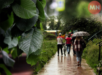 Ніжин у краплях дощу - Фоторепортаж