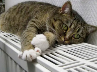 У Ніжині завершується опалювальний сезон