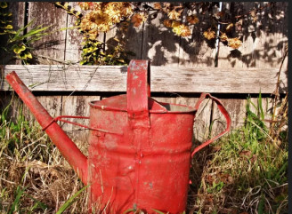 5 добрив, які варто внести в ґрунт восени