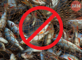 На Чернігівщині з 1 квітня вводиться нерестова заборона на вилов риби