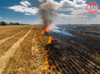 Пожежі в екосистемах Чернігівщини зросли у 2,5 раза: знищено 25 будинків