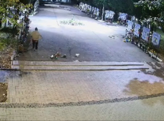 У Ніжині жінка вчинила хуліганство на Алеї Героїв: поліція склала адмінпротокол